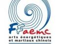 Ffaemc